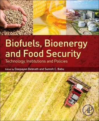 Biofuels, Bioenergy and Food Security cover