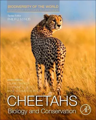 Cheetahs: Biology and Conservation cover