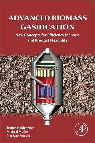 Advanced Biomass Gasification cover