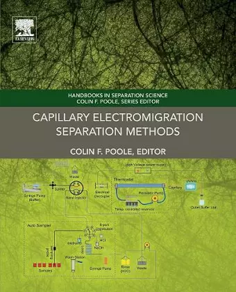 Capillary Electromigration Separation Methods cover