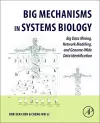 Big Mechanisms in Systems Biology cover