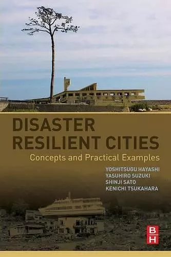 Disaster Resilient Cities cover