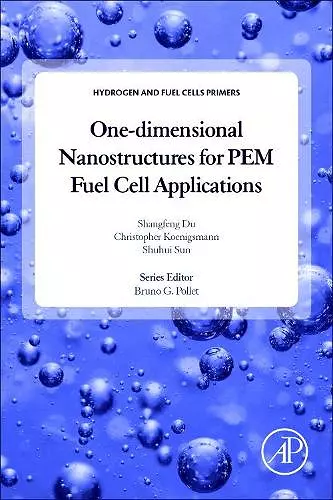 One-dimensional Nanostructures for PEM Fuel Cell Applications cover