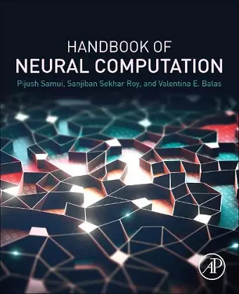 Handbook of Neural Computation cover