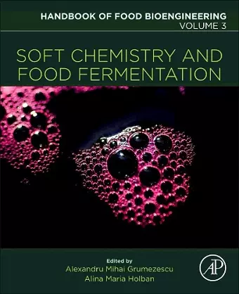 Soft Chemistry and Food Fermentation cover