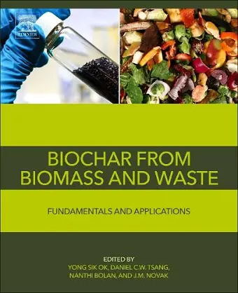 Biochar from Biomass and Waste cover