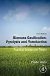 Biomass Gasification, Pyrolysis and Torrefaction cover