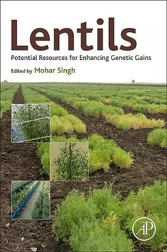 Lentils cover