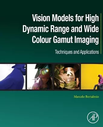 Vision Models for High Dynamic Range and Wide Colour Gamut Imaging cover