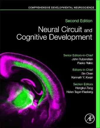 Neural Circuit and Cognitive Development cover