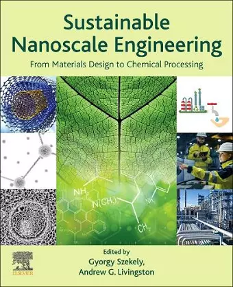 Sustainable Nanoscale Engineering cover