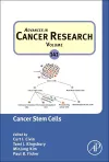 Cancer Stem Cells cover