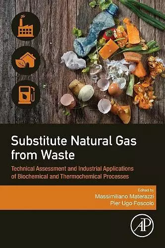Substitute Natural Gas from Waste cover