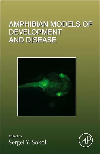 Amphibian Models of Development and Disease cover
