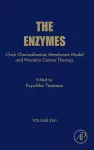 Chick Chorioallantoic Membrane Model and Precision Cancer Therapy cover
