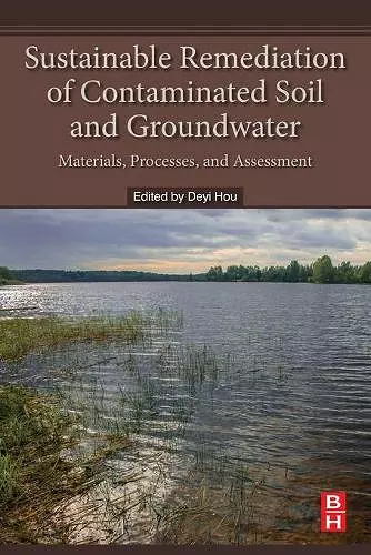 Sustainable Remediation of Contaminated Soil and Groundwater cover