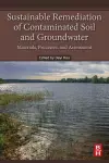 Sustainable Remediation of Contaminated Soil and Groundwater cover