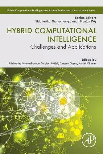 Hybrid Computational Intelligence cover