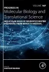 Molecular Basis of Neuropsychiatric Disorders: from Bench to Bedside cover