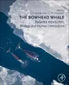 The Bowhead Whale cover