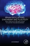 Brain Oscillations, Synchrony and Plasticity cover