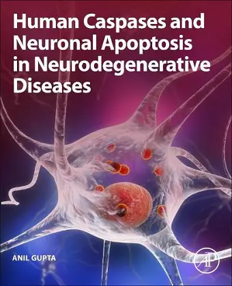 Human Caspases and Neuronal Apoptosis in Neurodegenerative Diseases cover