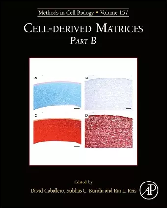 Cell-Derived Matrices Part B cover