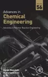 Advances in Polymer Reaction Engineering cover