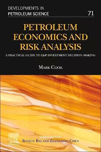Petroleum Economics and Risk Analysis cover