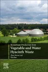 Biomethane Production from Vegetable and Water Hyacinth Waste cover