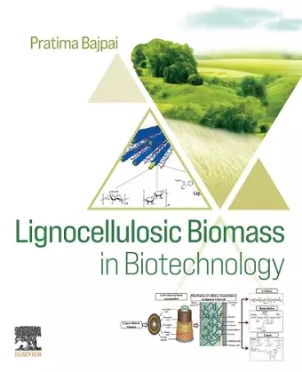 Lignocellulosic Biomass in Biotechnology cover