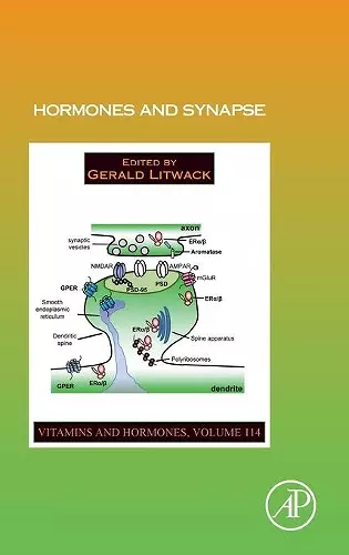 Hormones and Synapse cover