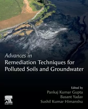 Advances in Remediation Techniques for Polluted Soils and Groundwater cover