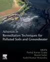 Advances in Remediation Techniques for Polluted Soils and Groundwater cover