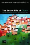 The Secret Life of Cities cover