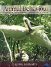 Animal Behaviour cover