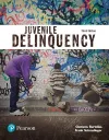 Juvenile Delinquency (Justice Series) cover