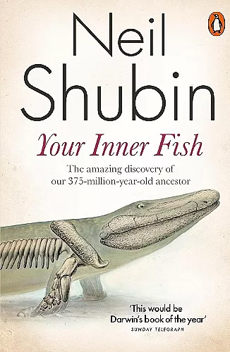 Your Inner Fish cover