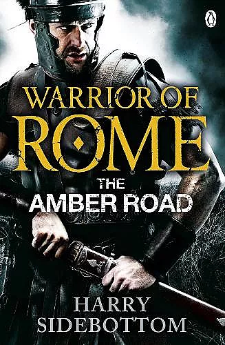 Warrior of Rome VI: The Amber Road cover