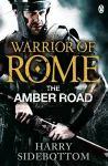 Warrior of Rome VI: The Amber Road cover