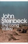 The Long Valley cover