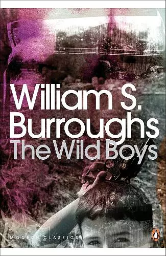 The Wild Boys cover