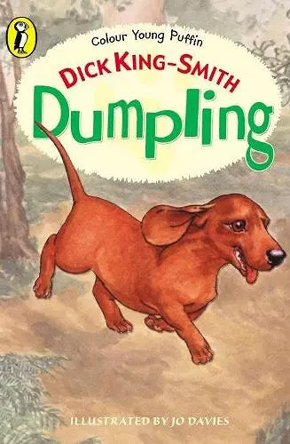 Dumpling cover
