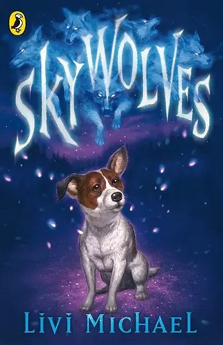 Sky Wolves cover