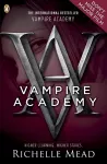Vampire Academy (book 1) cover