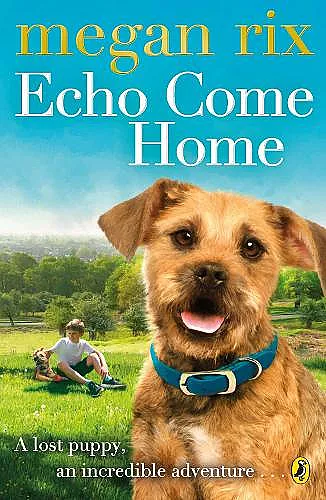 Echo Come Home cover