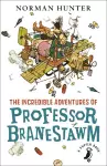 The Incredible Adventures of Professor Branestawm cover