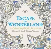 Escape to Wonderland: A Colouring Book Adventure cover
