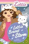 Lottie Dolls: Lottie Braves a Storm cover