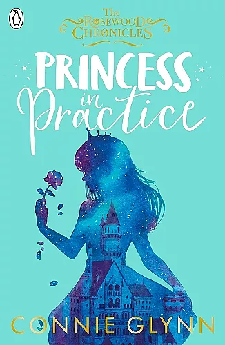 Princess in Practice cover